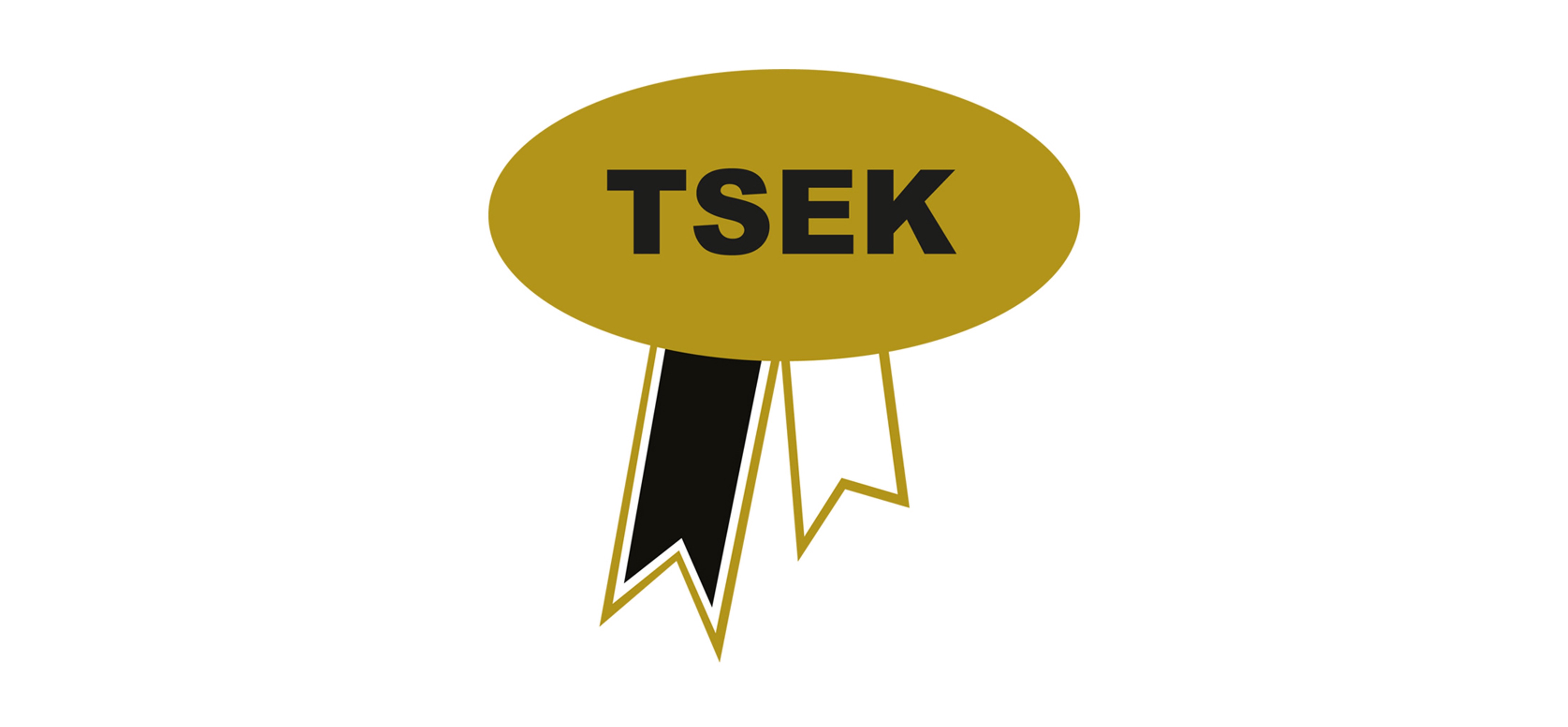 tsek logo