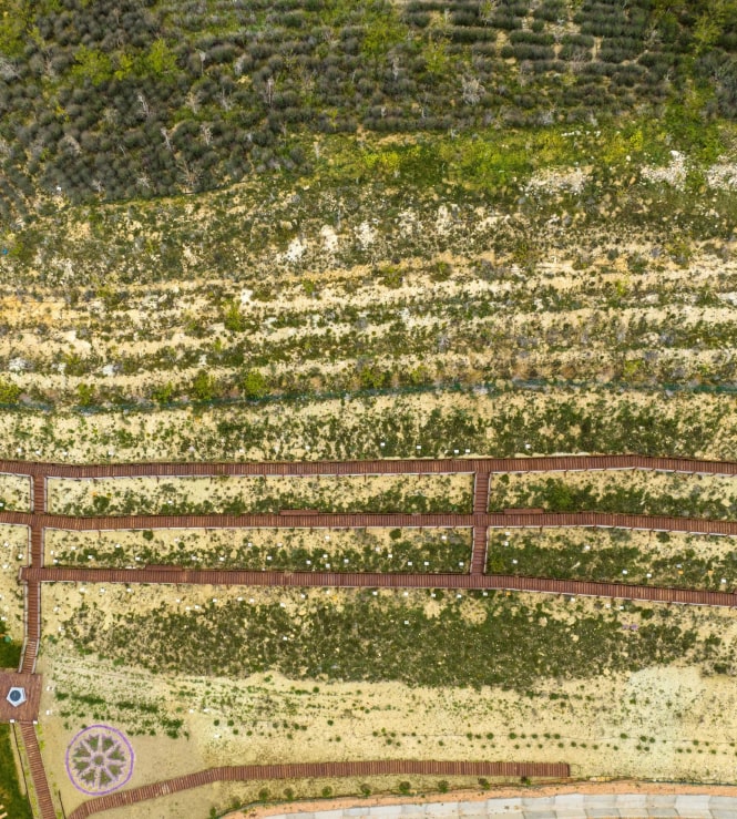 Conservation area fields from above