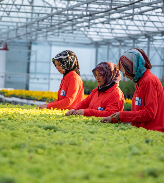 Women working at greenhouse project, Turkey