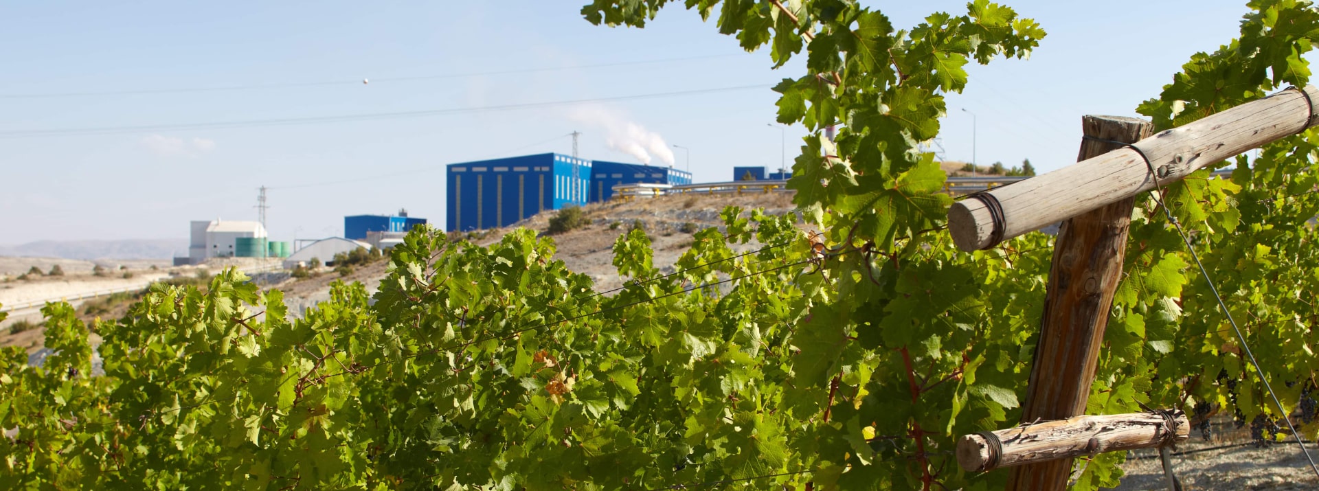 Eti Soda vineyards hills landscape factory